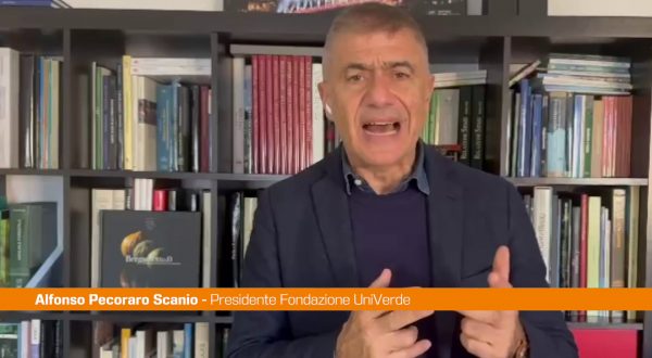 Pecoraro Scanio “Legge di bilancio nemica di futuro e innovazione”