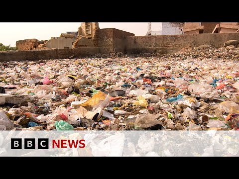 Earthshot Prize winner aims to tackle food waste in India – BBC News