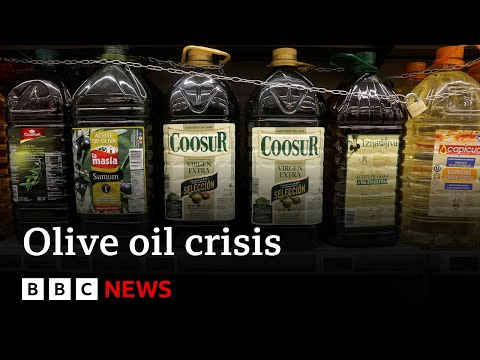 Olive oil price skyrockets as Spain suffers summer droughts for second year | BBC News