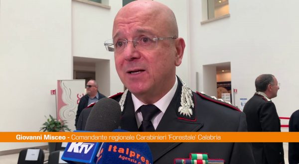 Carabinieri Forestali di Calabria e Sicilia presentano bilancio 2023