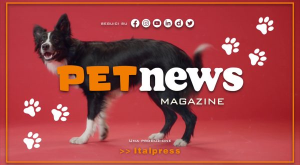 PetNews Magazine – 17/1/2024