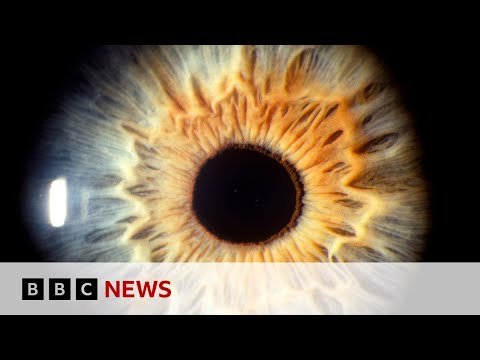 See what your brain does when you look at art | BBC News