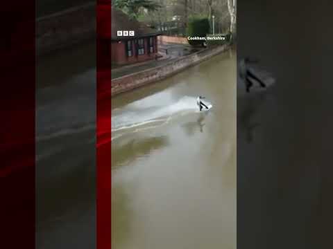 This man made the most of the flood by wakeboarding through this UK street. #Shorts #Floods #BBCNews