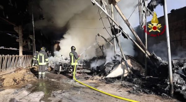 Incendio in azienda agricola nel vicentino, le immagini