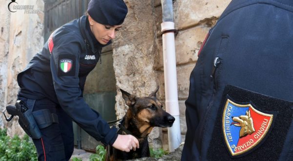 Palermo, 25 chili di droga sequestrati e 6 arresti