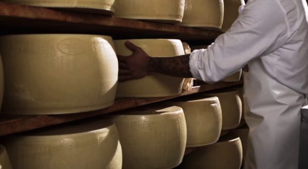 Parmigiano Reggiano a Taste, al via le celebrazioni per i 90 anni