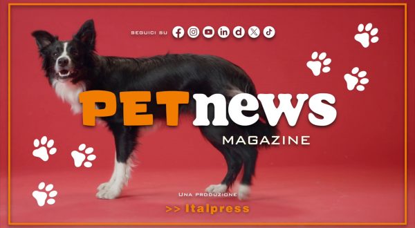 PetNews Magazine – 20/2/2024