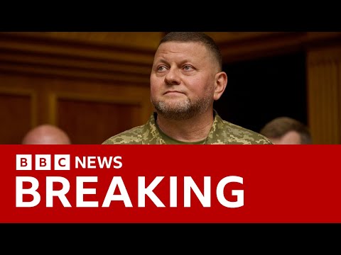 President Zelensky sacks Ukraine’s commander-in-chief | BBC News