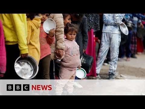 Gazans surviving off animal feed and rice as food dwindles | BBC News