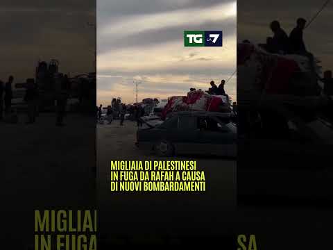 Migliaia di #palestinesi in fuga da #Rafah a causa di nuovi bombardamenti