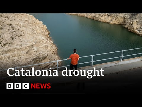 Catalonia: State of emergency declared as region faces worst ever drought | BBC News