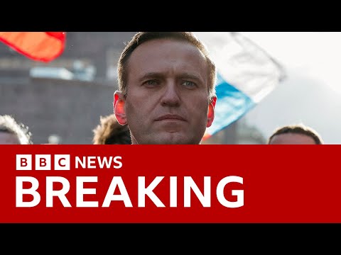 Russian opposition leader Alexei Navalny has died, Russian media report | BBC News | BBC News