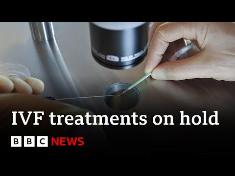 US hospital halts IVF after court says embryos are children | BBC News