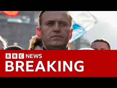 Alexei Navalny’s mother says she has seen her son’s body | BBC News