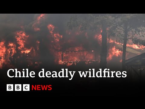 Chile forest fires: At least 51 dead, say officials | BBC News