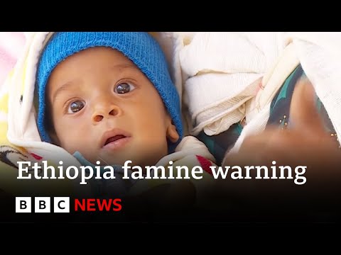 Ethiopia: UK warns of food crisis triggered by war and drought | BBC News