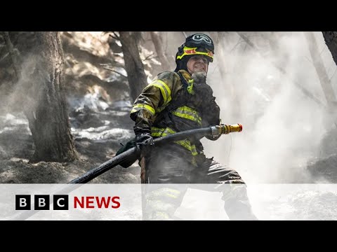 Climate change: World’s first year-long breach of key 1.5C warming limit | BBC News