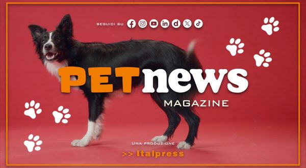 PetNews Magazine – 28/2/2024