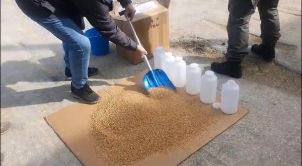 Controlli sul grano estero in arrivo al porto di Pozzallo