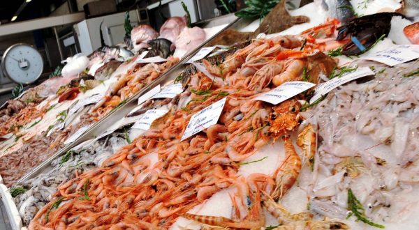 Blitz contro il mercato abusivo del pesce nel Trapanese, multe e sequestri