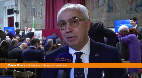 Pozza “Bilancio positivo per le Camere di Commercio all’estero”