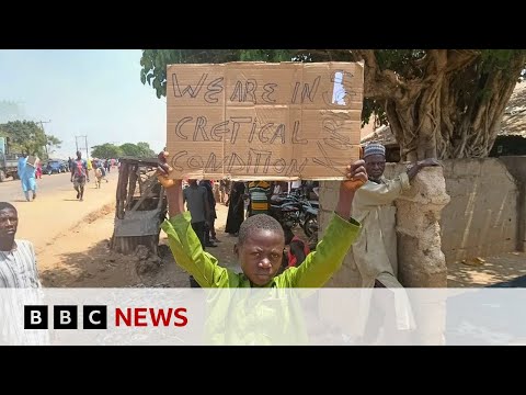 Nigeria: At least 28 escape after nearly 300 schoolchildren abducted | BBC News