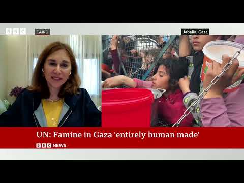 Gaza’s entire population facing acute food insecurity, Blinken warns | BBC News