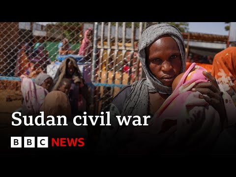 Sudan civil war a ‘humanitarian nightmare’, says UN | BBC News