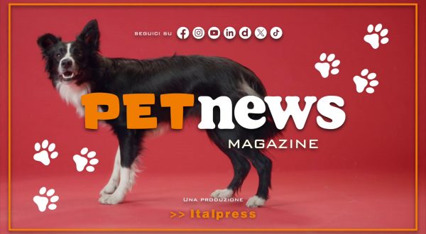 PetNews Magazine – 6/3/2024