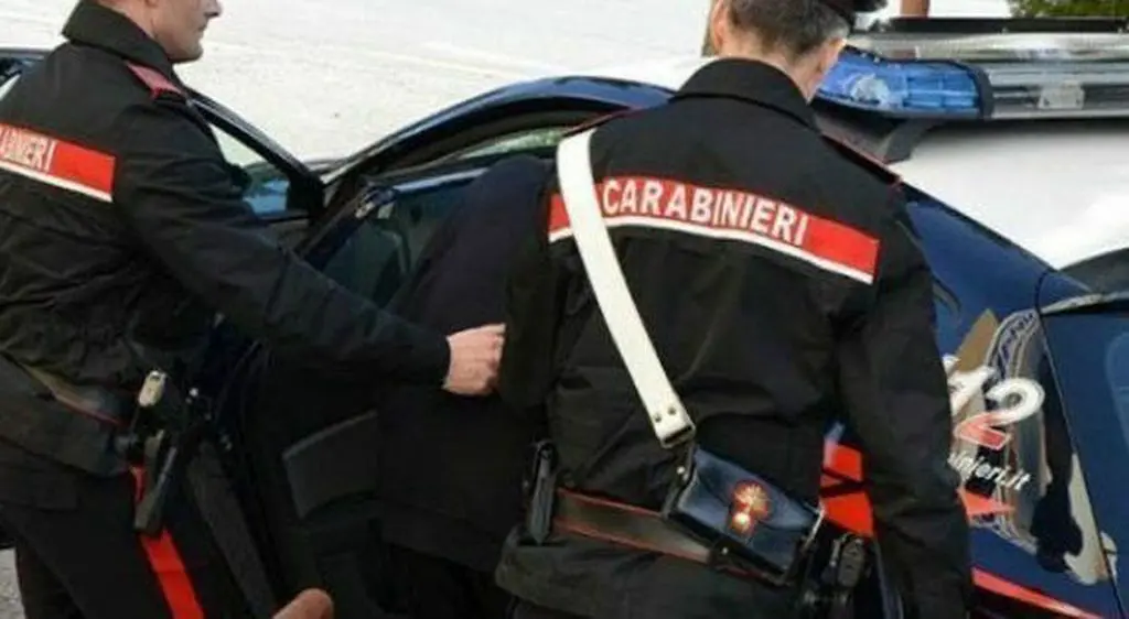 Traffico di droga e armi, arresti e sequestri in Liguria e Calabria