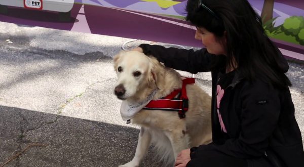 In centinaia per la ripartenza del Pet Camper Tour