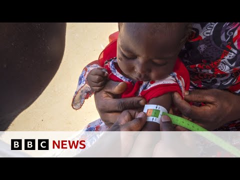 Sudan: ‘Catastrophic’ hunger crisis warning in war-ravaged country | BBC News