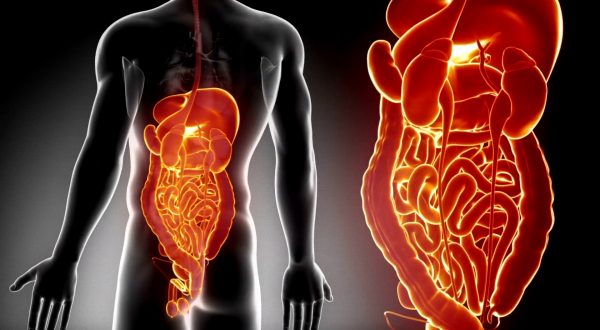 Cresce l’incidenza delle malattie infiammatorie croniche intestinali