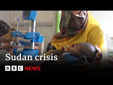 Residents in Sudan’s El Fasher are besieged and under attack | BBC News