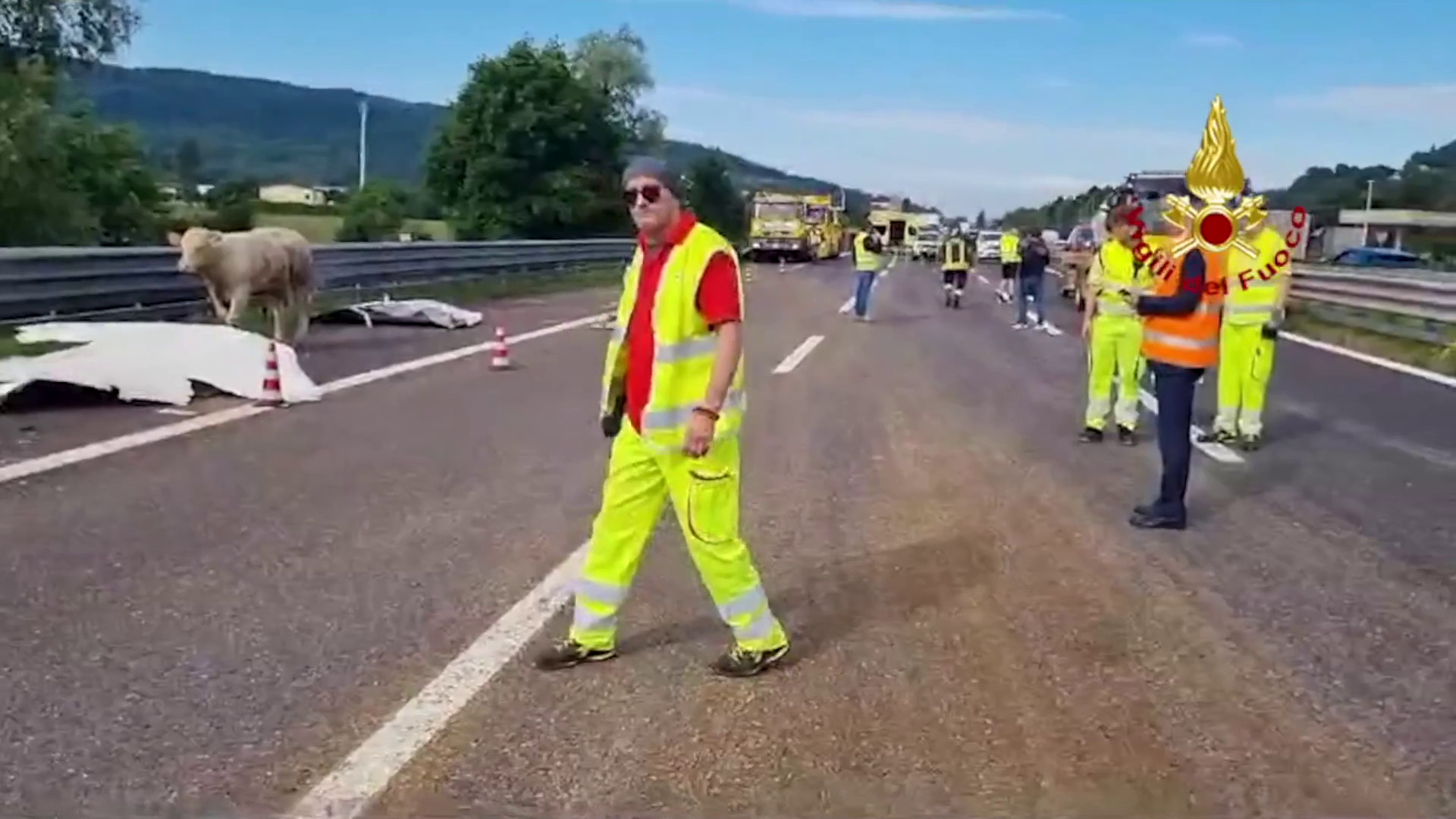 Camion carico di bovini si ribalta sulla A4 nel vicentino