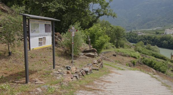 Nel cuore della Valtellina il primo “Sentiero dei campioni”