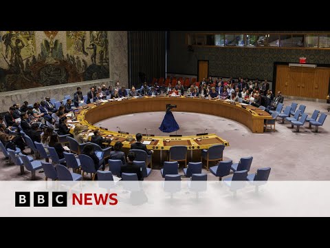 UN Security Council backs US Israel-Gaza ceasefire plan | BBC News