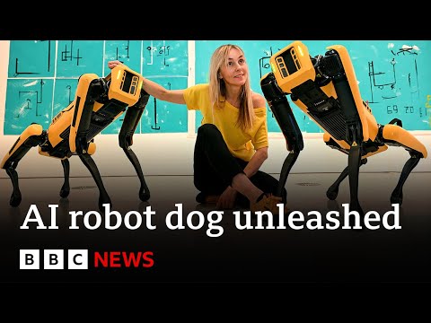 AI robot dogs take bullets to save humans, say engineers | BBC News