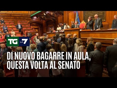 Ancora disordini tra onorevoli, questa volta al Senato