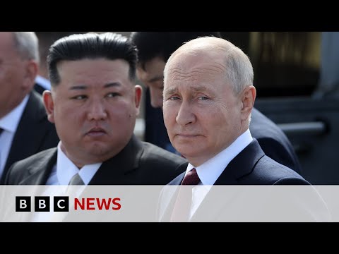 Vladimir Putin arrives in North Korea ahead of talks with Kim Jong-un | BBC News