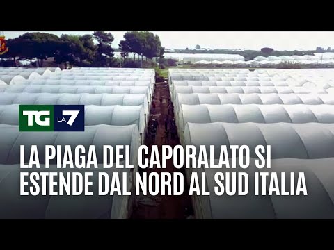 La piaga del caporalato si estende dal nord al sud Italia