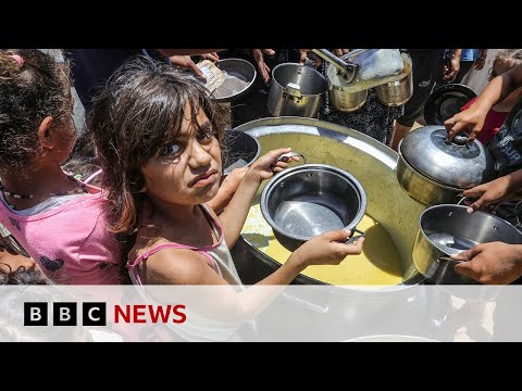 United Nations says Gaza faces ‘catastrophic levels of starvation’ | BBC News