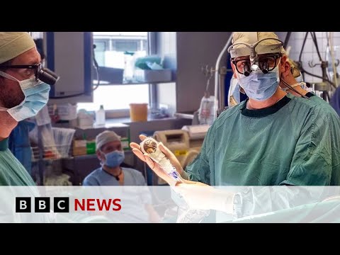 ‘Space hairdryer’ regenerates heart tissue in study | BBC News