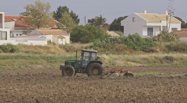 Crescita record per le polizze agricole agevolate nel 2023