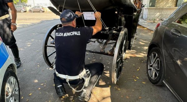 Sequestrata una carrozza a Palermo, Ferrandelli “Attività scrupolosa”