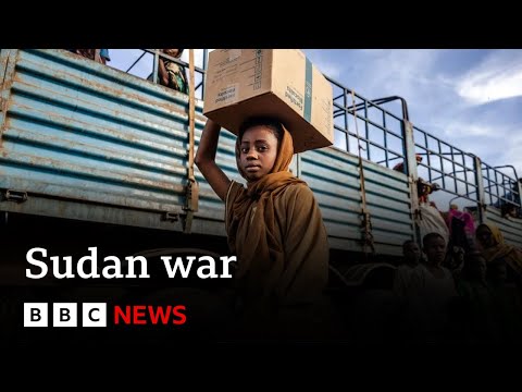 Sudan war leaves more than ten million people displaced, according to UN | BBC News