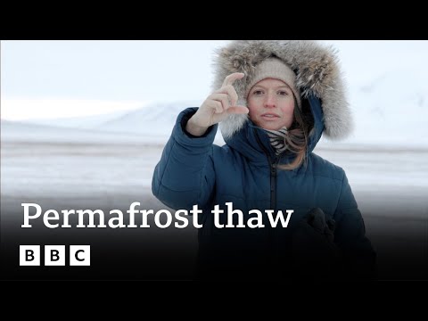 What happens when the permafrost thaws? | BBC Ideas