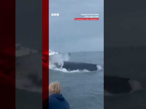 Moment whale capsizes fishing boat in the US. #Whale #US #BBCNews