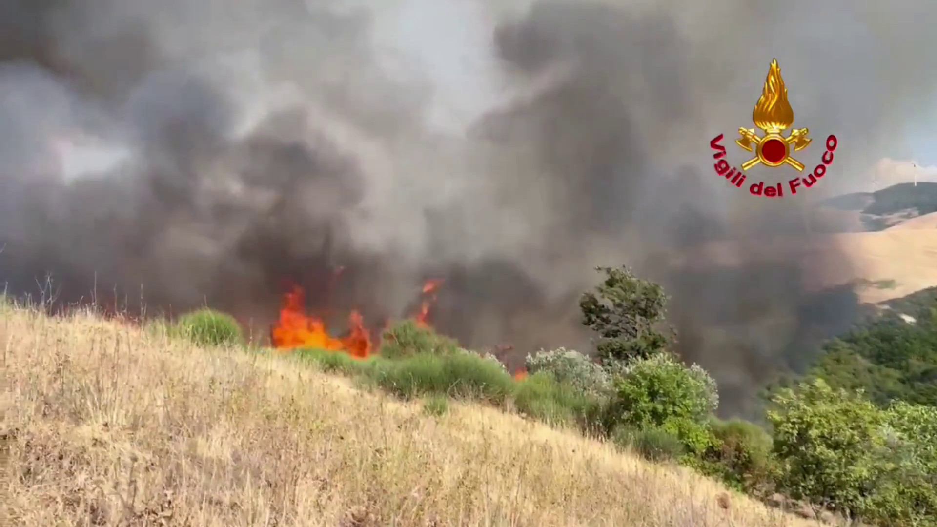 Vasto incendio nel Potentino, le immagini