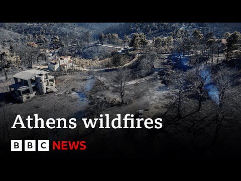 Greece wildfires brought under control, says fire service | BBC News